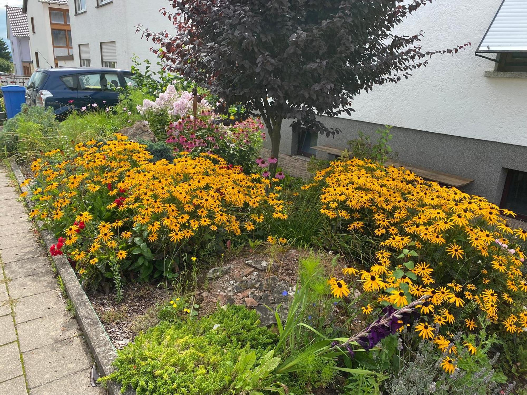 Ferienwohnung Fewo Weinland Zweibrücken Exterior foto